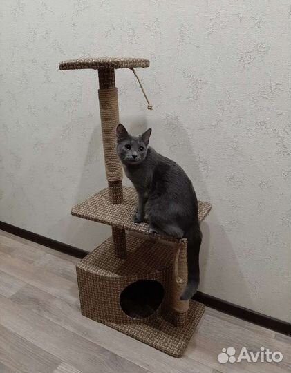 Домик с когтеточкой