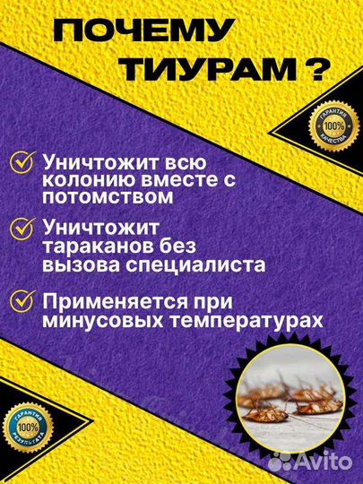 Самое эффективное средство от тараканов