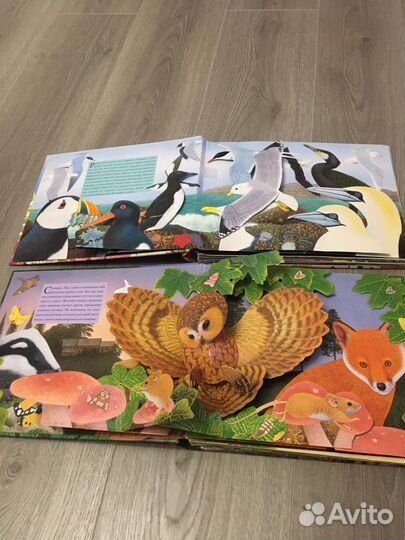 Интерактивные книги махаон
