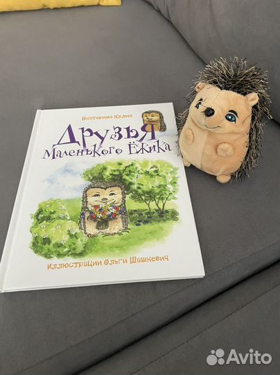 Книга с игрушкой