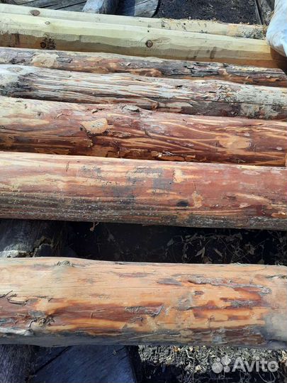 Бревна 3 шт