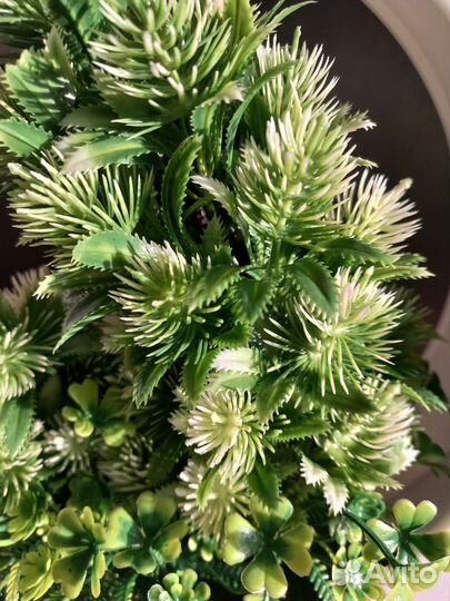 Искусственные растения/цветы