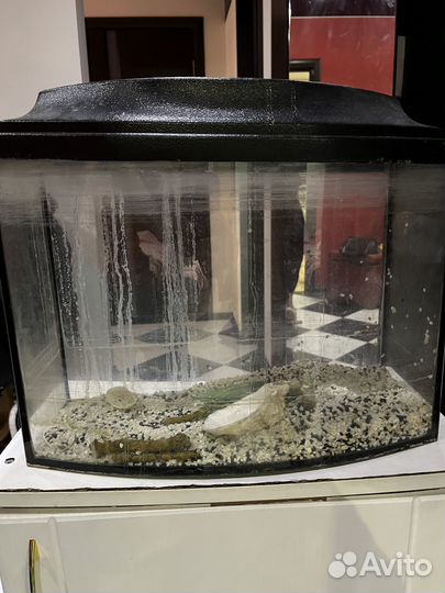 Аквариум с тумбой бу
