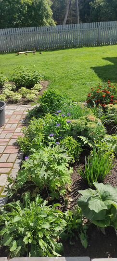 Дом 73,2 м² на участке 11 сот.