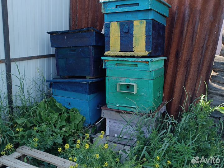 Улей для пчел бу инвентарь