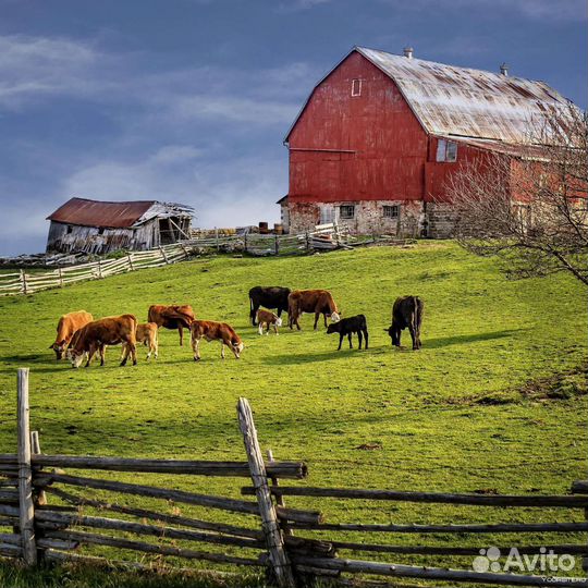 Разнорабочий