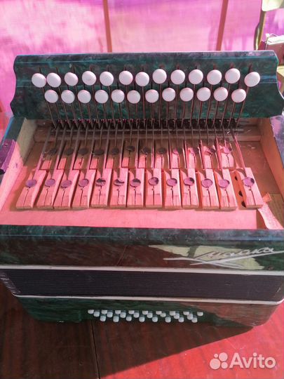 Гармонь чайка