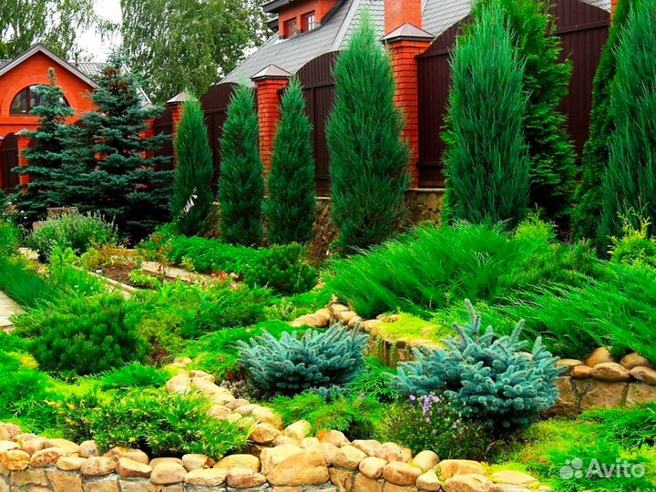 Ландшафтный проект 6 соток участка \ Проект №844