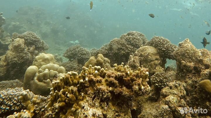 Аренда яхты пхукет