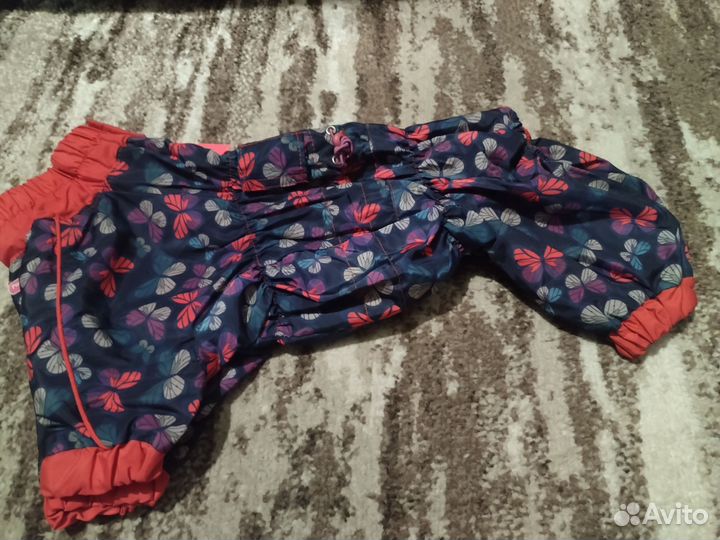 Дождевик для собак мелких пород