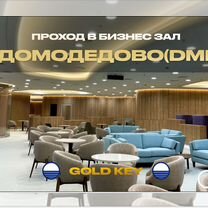 Проход (пропуск) в бизнес зал Домодедово DME