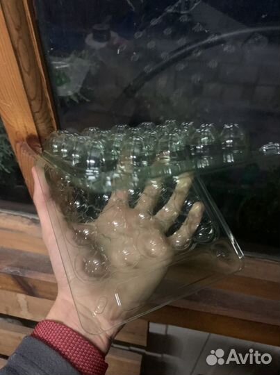 Упаковка для перепелиных яиц