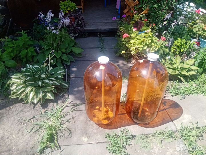 Пластиковая кега 30 л