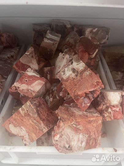 Лакомства для собак, корм для собак