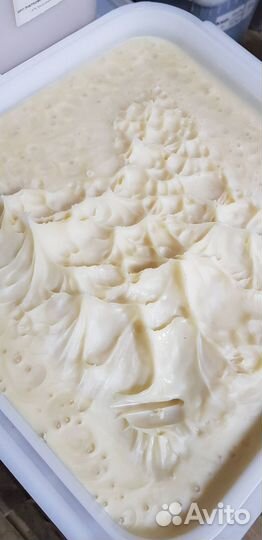 Мёд оптом рапсовый