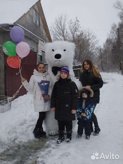 Мишка Умка на праздник