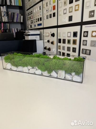 Моссариум в наличии