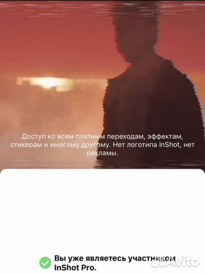 Подписка InShot