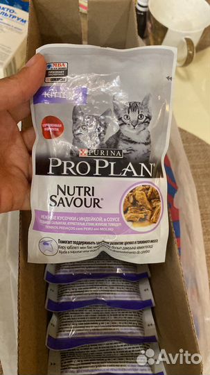 Влажный корм для котят проплан