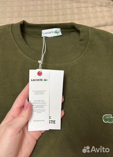 Кофта мужская lacoste вельветовая