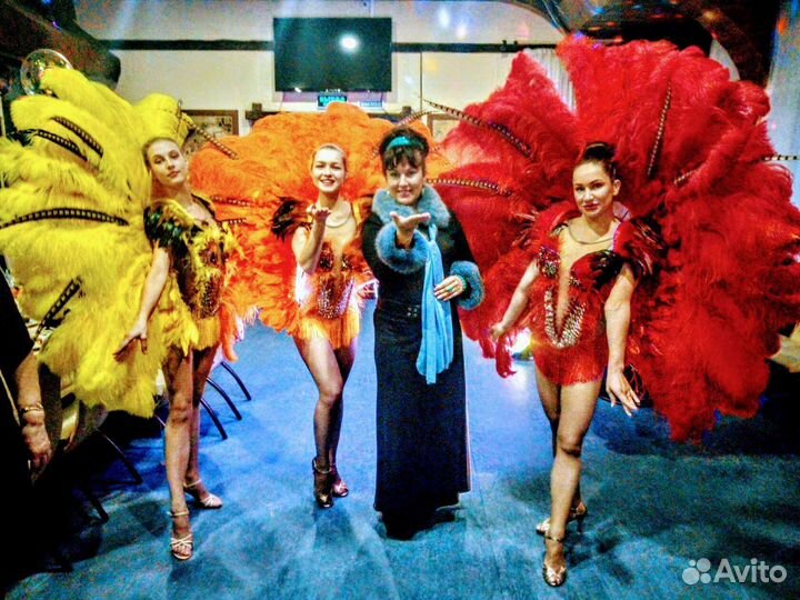 Тамада и дискотека