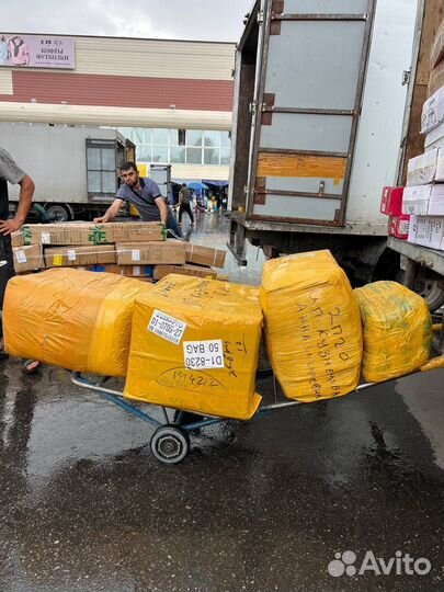 Байер тяк москва садовод посредник баер