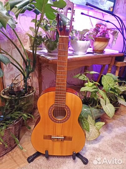 Классическая гитара Kremona Rondo soloist r65s