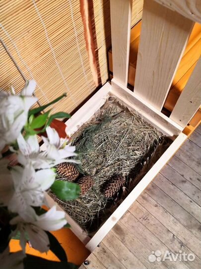 Коробка деревянная с наполнением для подарка новая