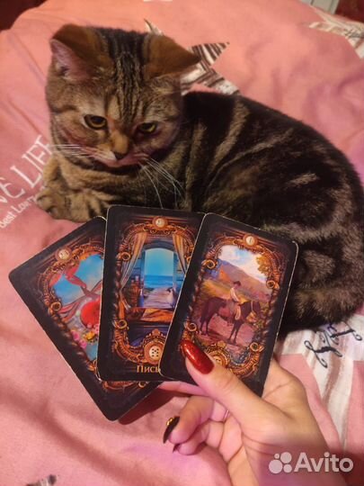 Консультация таролога