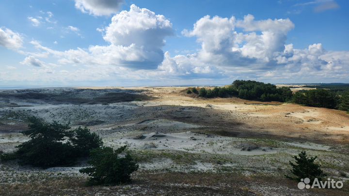 Экскурсии на Куршскую косу