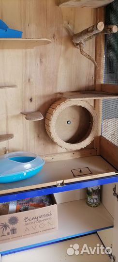 Витрина для грызунов