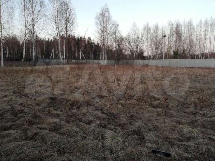 Участок 19,5 сот. (СНТ, ДНП)