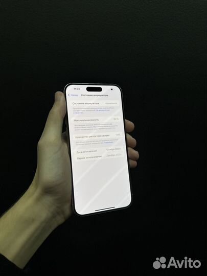 iPhone 15 Pro Max, 256 ГБ