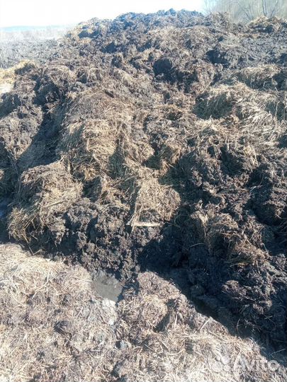 Перегной и навоз