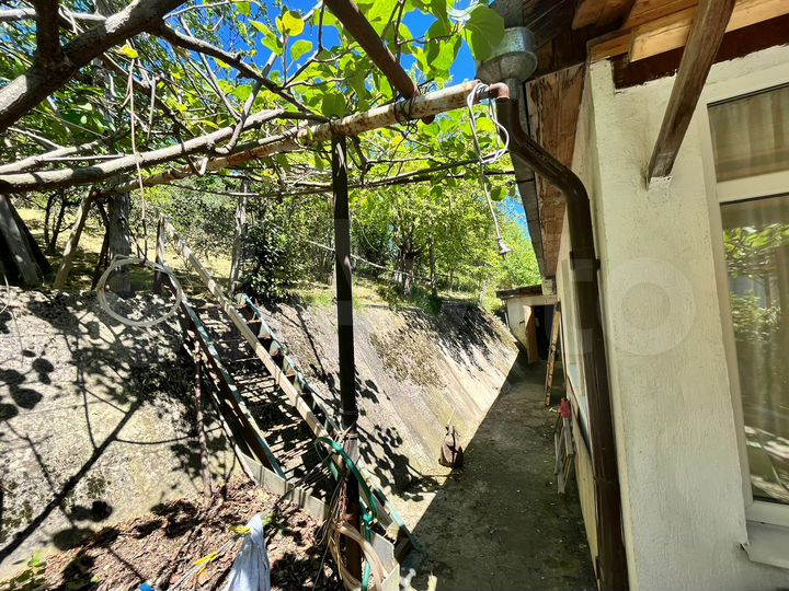 Дом 100 м² на участке 8 сот.