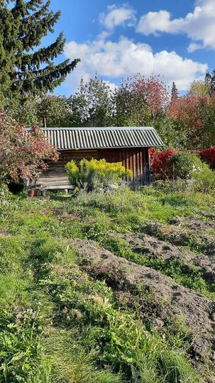 Участок 7,4 сот. (СНТ, ДНП)