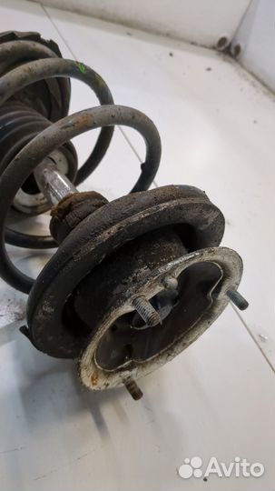 Амортизатор подвески правый передний BMW 5 E60, 2006