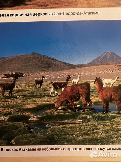 Золотой глобус энциклопедия география журнал диск