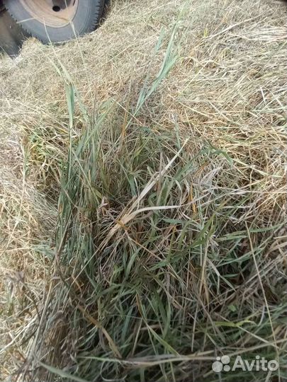 Сено луговое в тюках