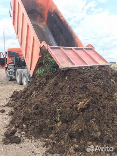 Навоз коровий