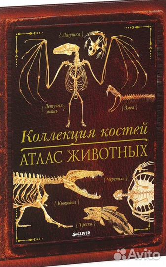 Коллекция костей. Атлас животных