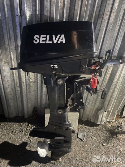 Мотор 15 selva