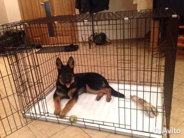 Клетка для собак всех пород клетки переноски