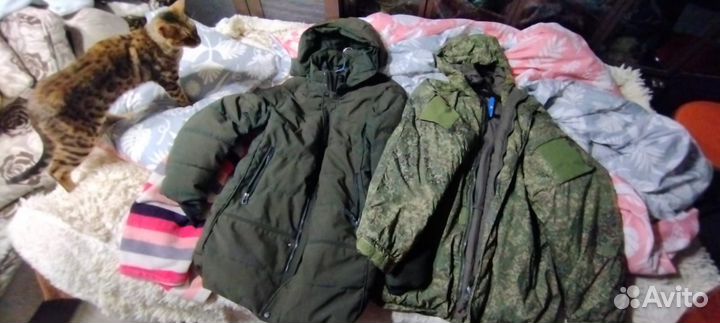 Вещи мужские