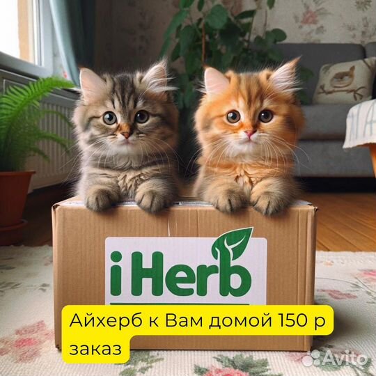 Совместный заказ айхерб/совместная закупка iherb