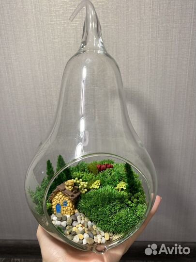 Флорариум (моссариум)