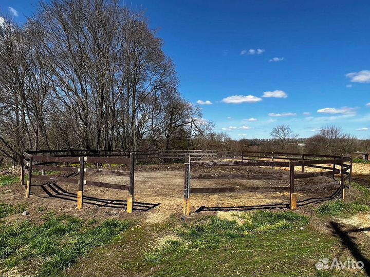 Продается готовый бизнес (конюшня)