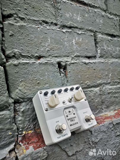 Mooer Reecho Pro Delay
