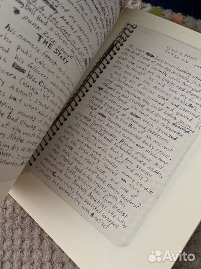 Kurt Cobain Journals книга