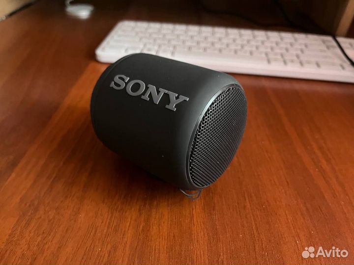 Sony srs-xb10 bluetooth